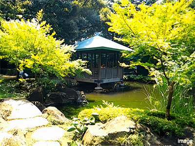 大田黒川公園｜高井戸パークハウス
