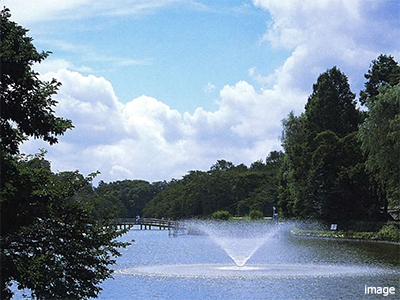 井の頭公園｜高井戸パークハウス